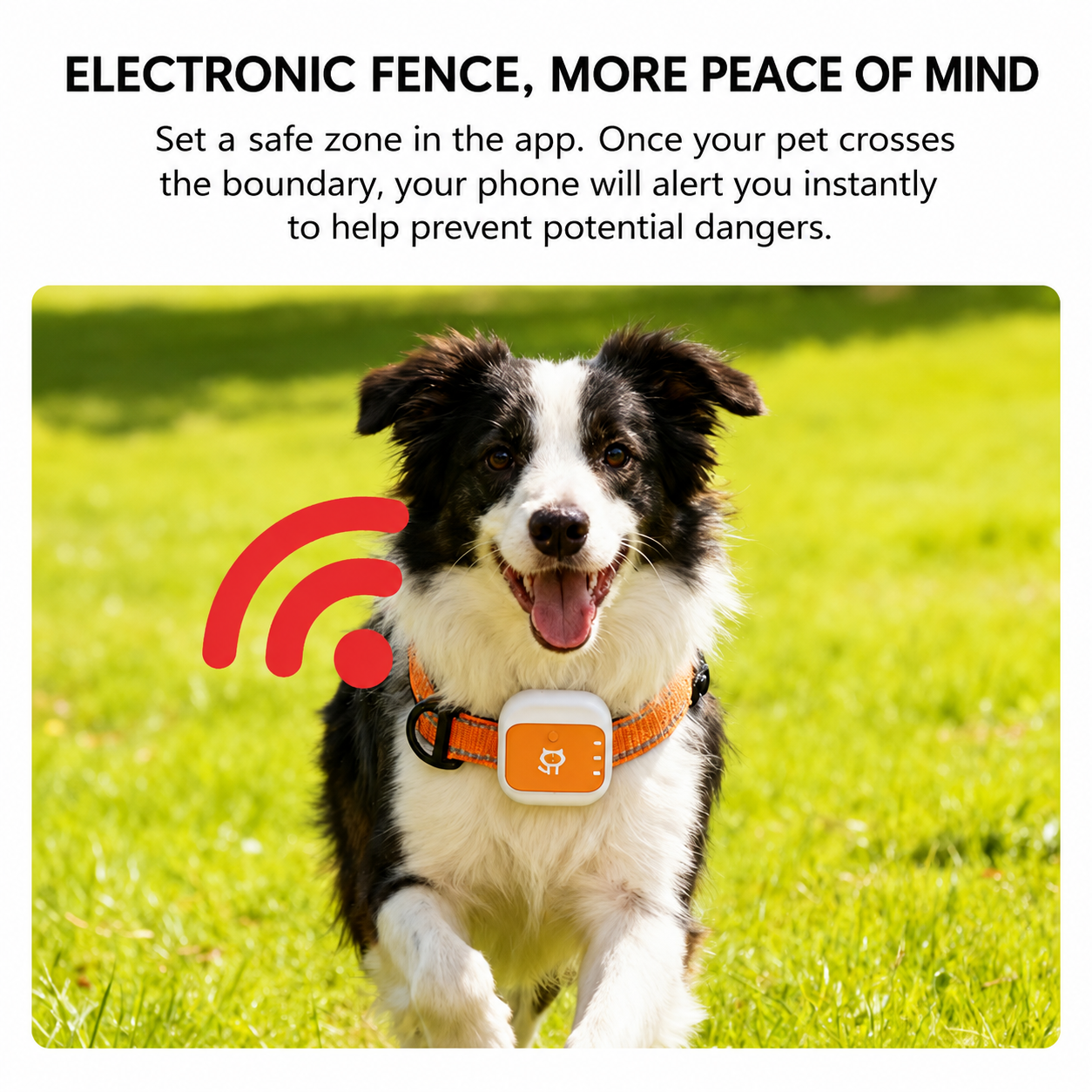 4G GPS Pet Tracker Collar – Real-Time Tracking for Dogs & Cats with Geo-Fence Alerts